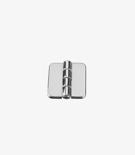 Hinge With Cover